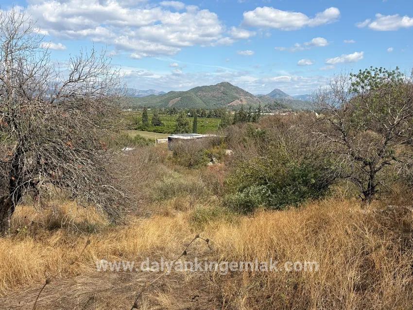 Feld Zu verkaufen in Dalyan Bz. Ortaca - Feld-Zonierung - 5.000 m²