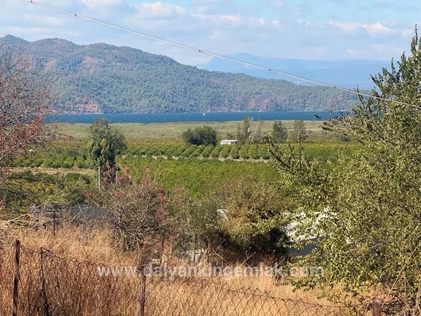 Feld Zu verkaufen in Dalyan Bz. Ortaca - Feld-Zonierung - 5.000 m²