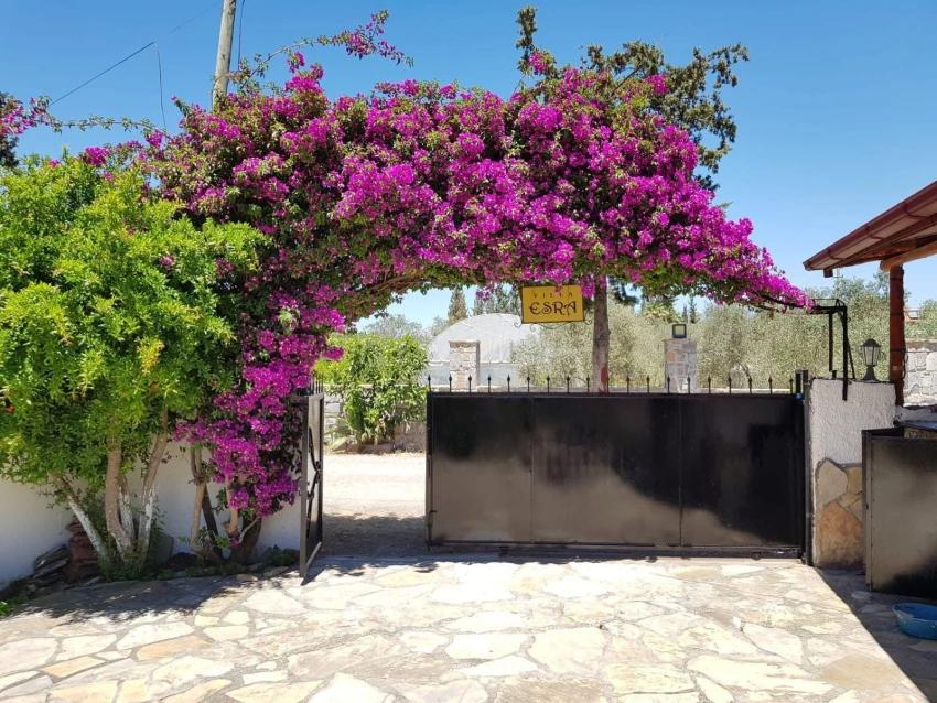 Ein Charmantes, Freistehendes Bungalow Mit Investitionspotenzial In Der Gegend Von Dalyan Arıkbaşı.