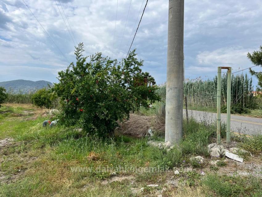 Granatapfelgarten Zum Verkauf An Der Straße Dalyan – İztuzu