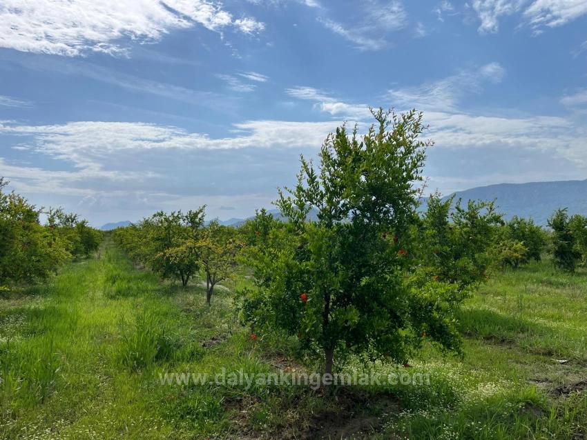 Feld Zu Verkaufen in Dalyan Bz. Ortaca - Feld-Zonierung - 14.000 m²