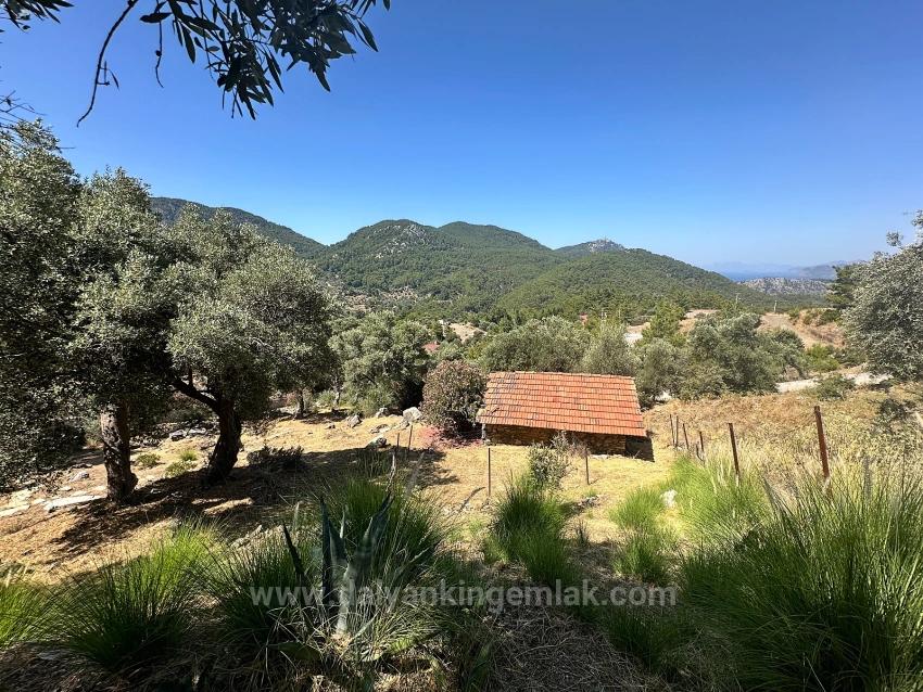 Luxuriöse Villa Mit 7 Schlafzimmern Und Unvergleichlichem Meerblick In Gökbel