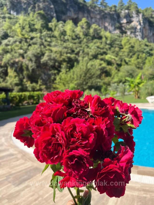 Duplex-Villa Zum Verkauf In Dalyan Okçular