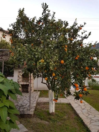 Freistehendes Bungalow Mit Investitionspotenzial In Der Gegend Von Dalyan