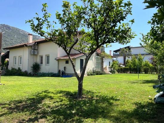 Ein Friedliches Leben Inmitten Des Flüsterns Der Berge