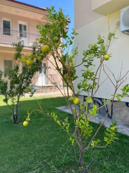 Duplex-Villa Zum Verkauf In Dalyan Okçular