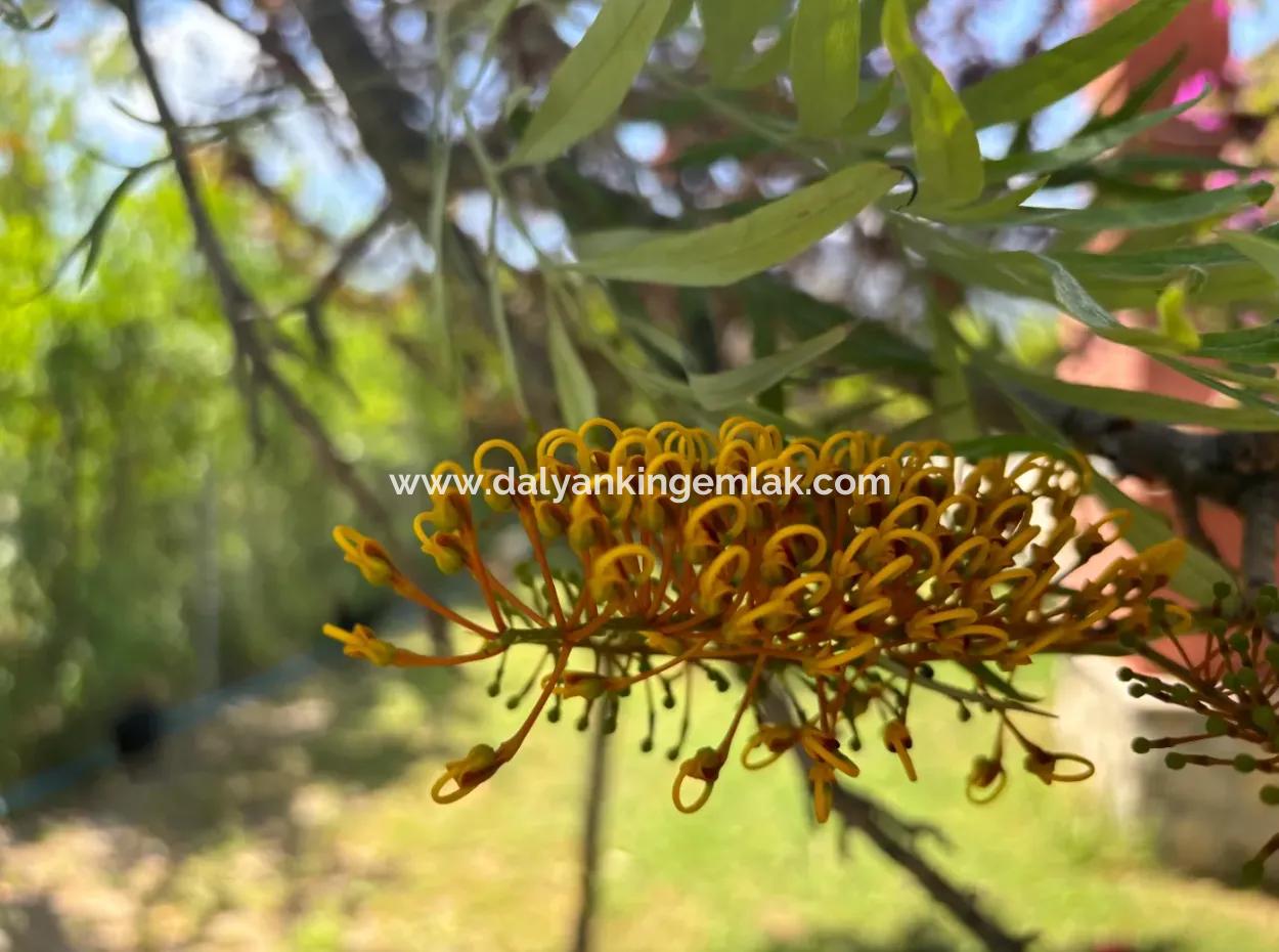 Special Villa In Rural Location