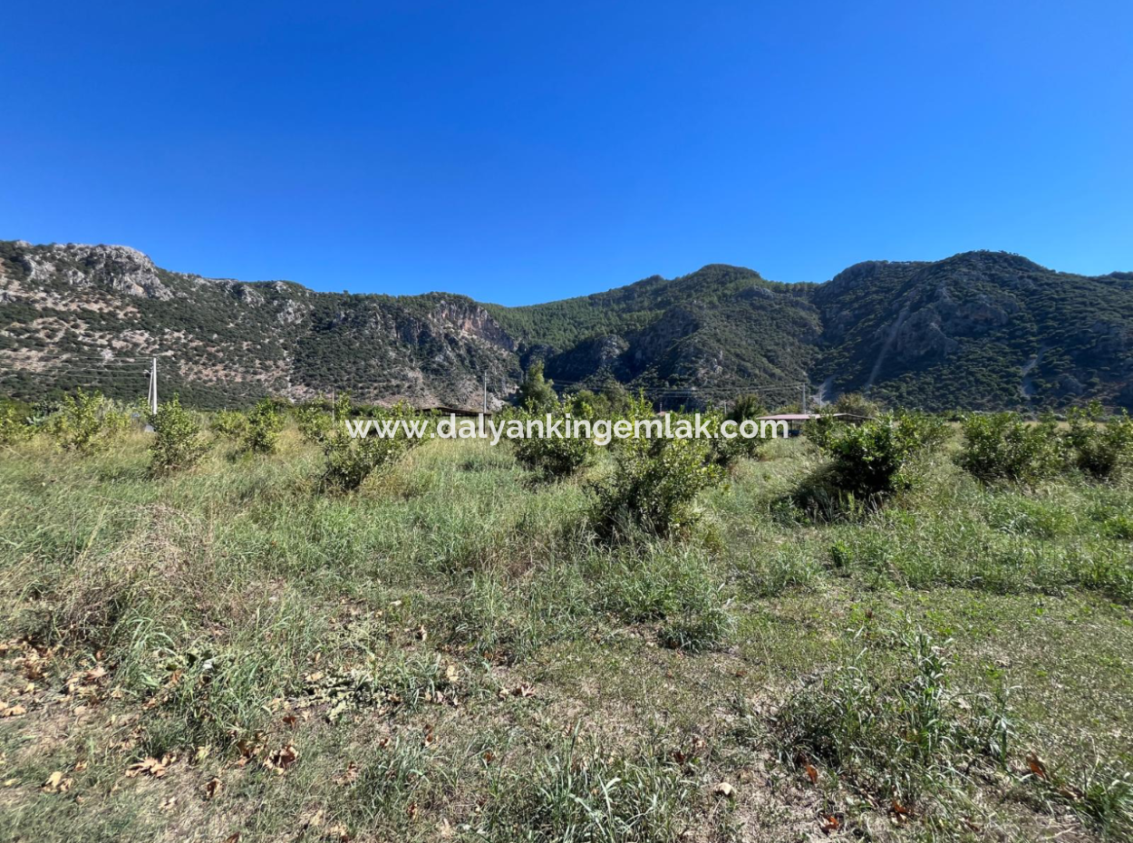 Lovely Field Plot In Arik Bası