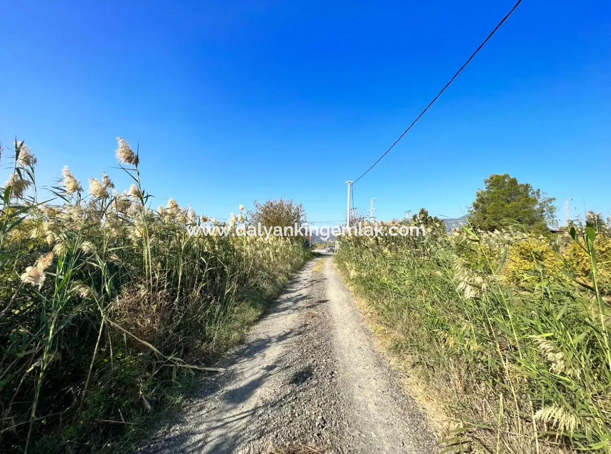 Granatapfelgarten Zu Verkaufen In Dalyan