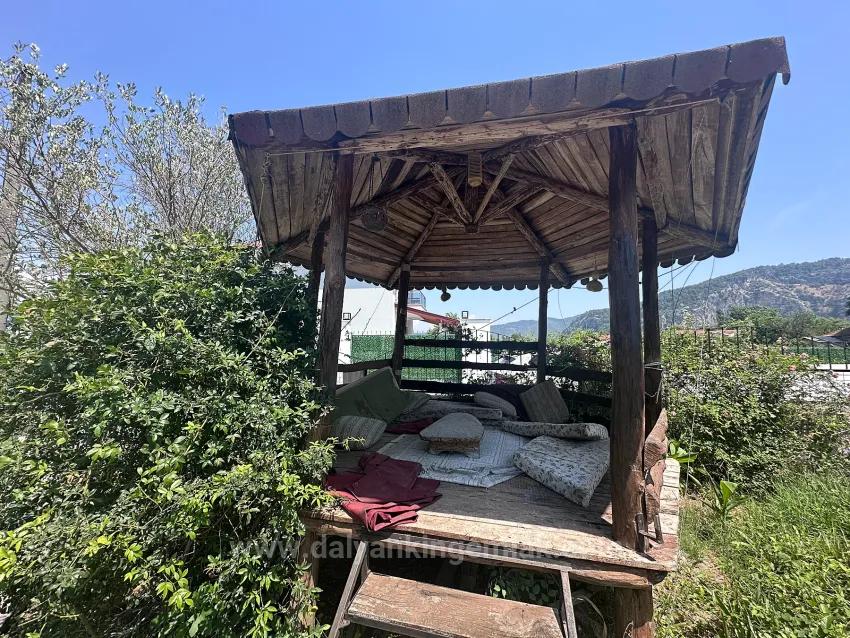 Spacious Village Home With Mountain Views And Mature Gardens