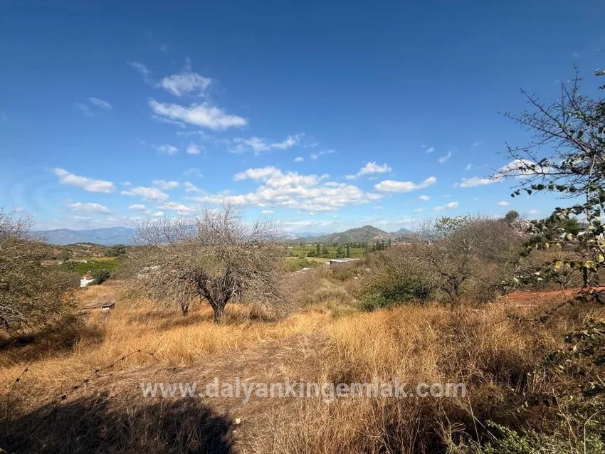 Field For sale in Dalyan Nbh. Ortaca - Field Zoned - 5.000 m²