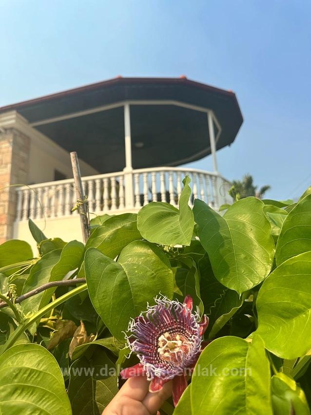 A Hidden Gem In Dalyan's Maraş Neighborhood