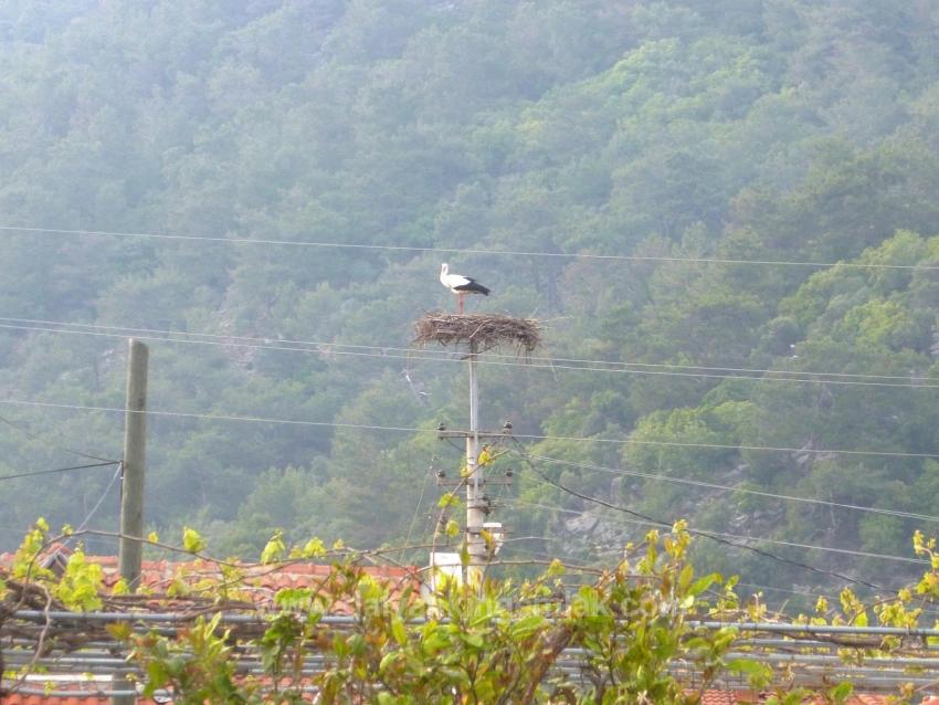 Villa Delight – A Rare Gem In The Heart Of Dalyan