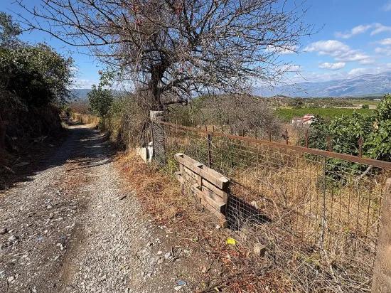 Room to Grow — 5,000 m² of Land In Karadağ
