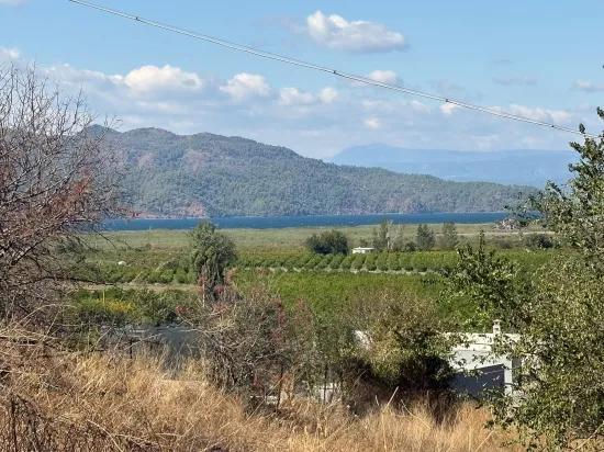 Room to Grow — 5,000 m² of Land In Karadağ