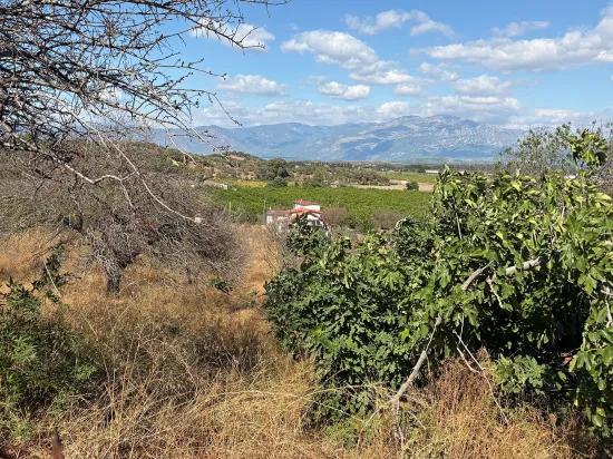 Room to Grow — 5,000 m² of Land In Karadağ