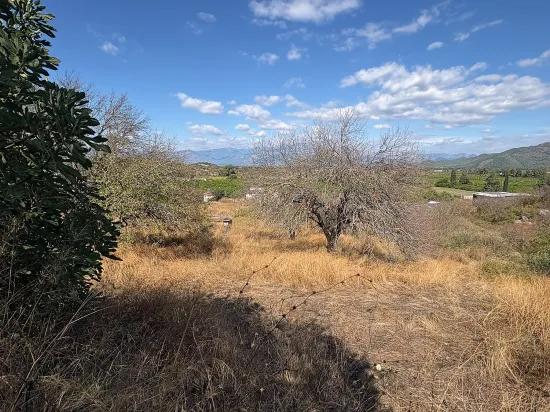 Room to Grow — 5,000 m² of Land In Karadağ