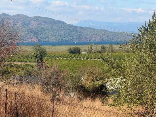 Room to Grow — 5,000 m² of Land In Karadağ