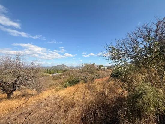 Room to Grow — 5,000 m² of Land In Karadağ