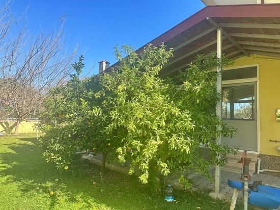House For Sale In Dalyan Gülpınar On A 1000 M2 Plot Of Land.