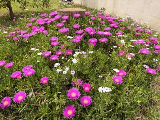 A Peaceful Ground Floor Apartment