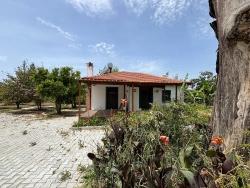 Detached House For Rent In Dalyan Eskiköy.
