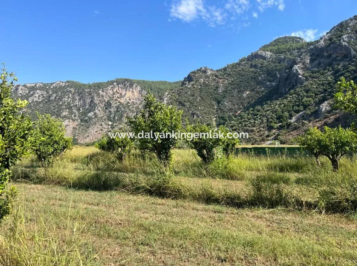 Field For Sale In Dalyan
