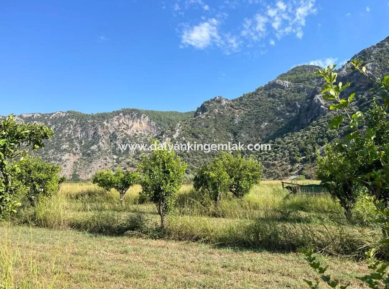 Field For Sale In Dalyan