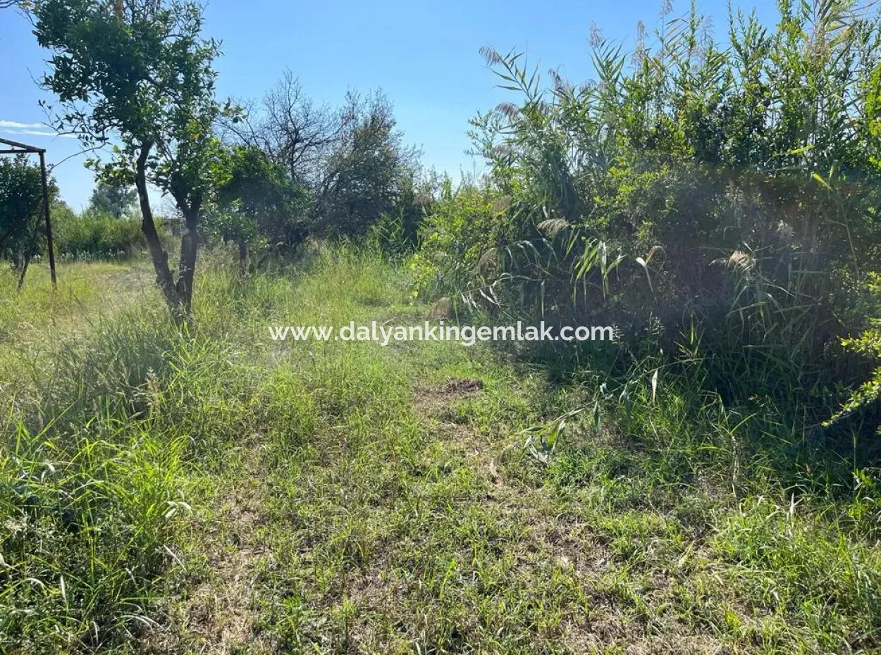 Field For Sale In Dalyan