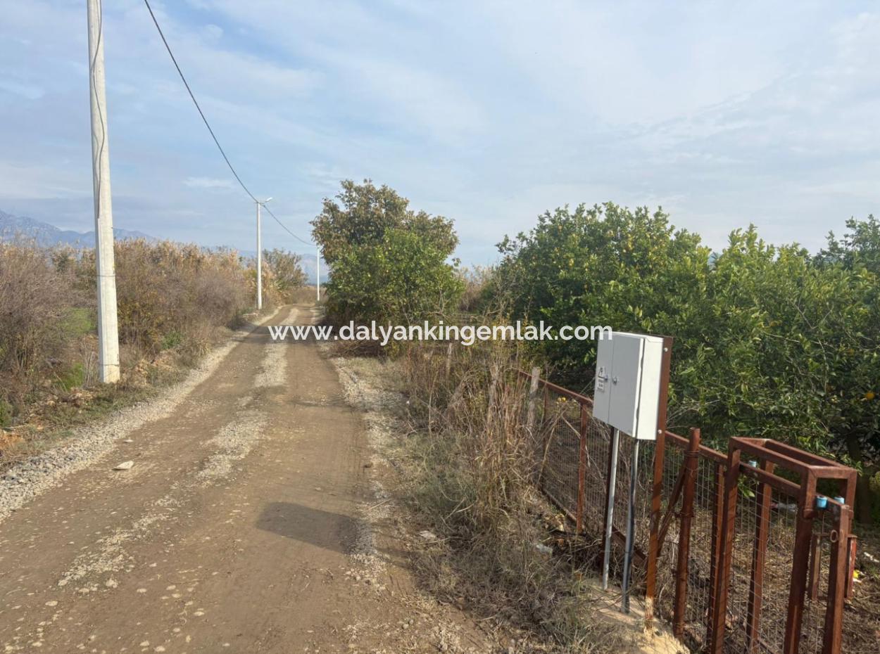 Field Land For Sale In Tepearası