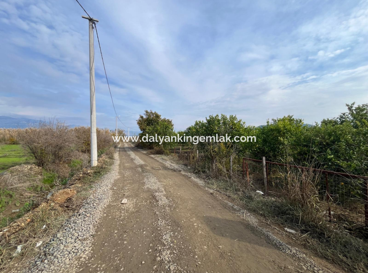 Field Land For Sale In Tepearası