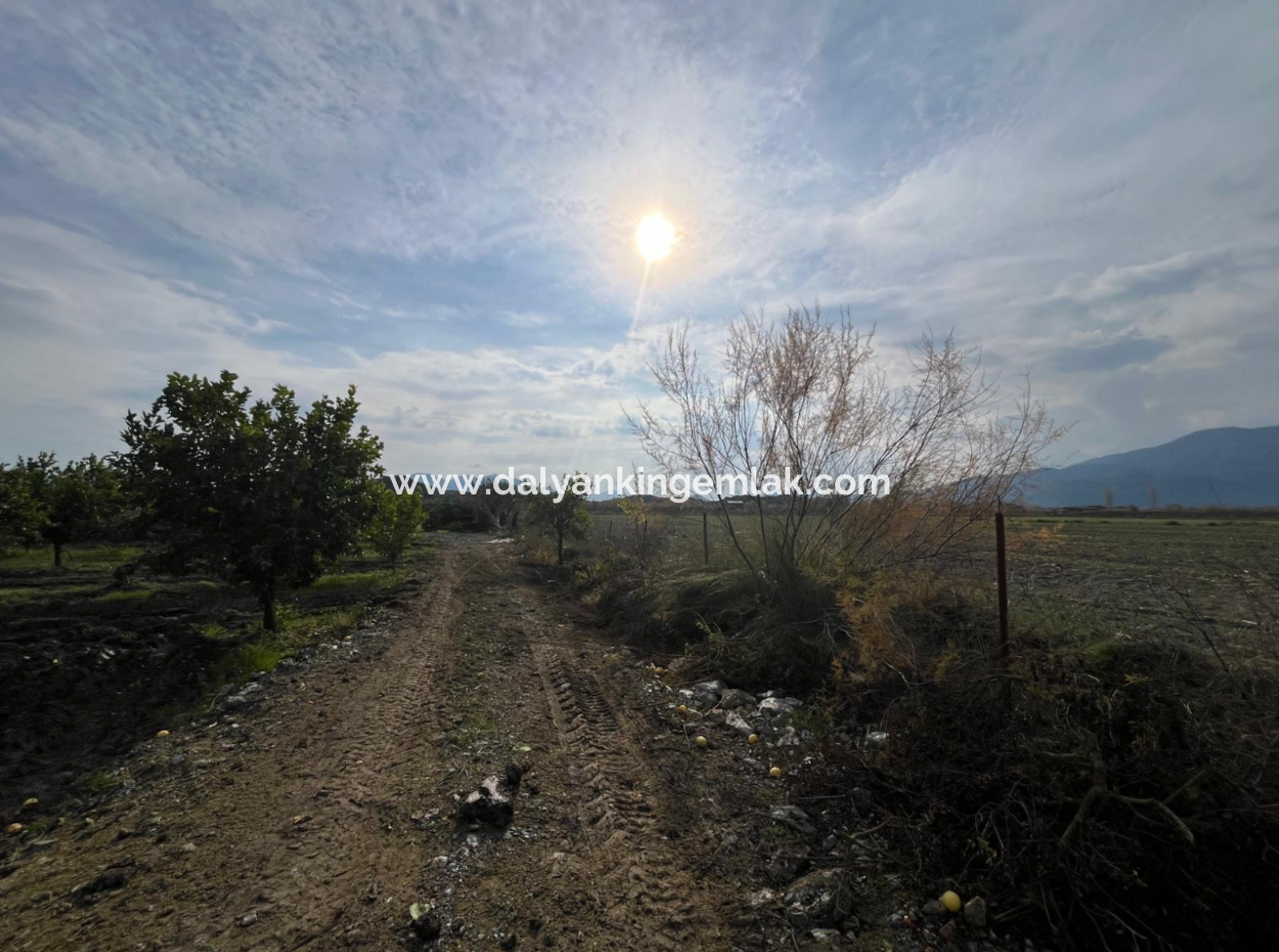 Field Land For Sale In Tepearası