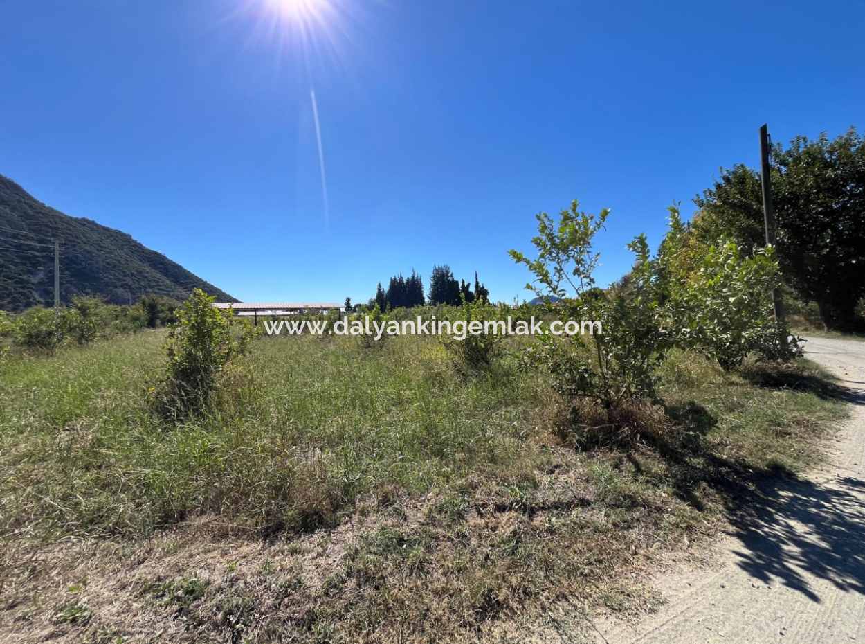 Lovely Field Plot In Arik Bası