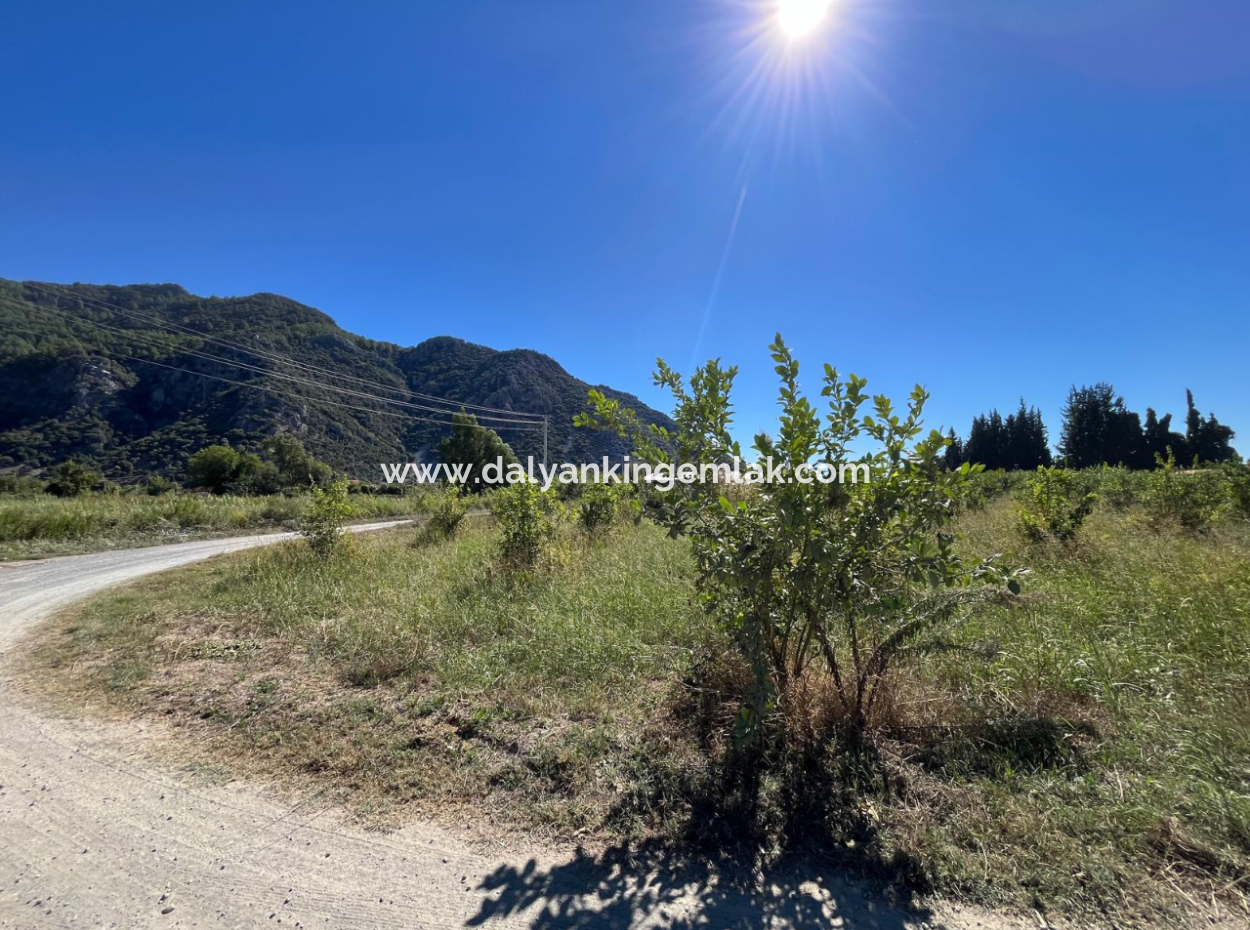 Lovely Field Plot In Arik Bası