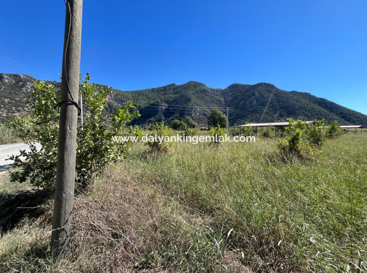 Lovely Field Plot In Arik Bası