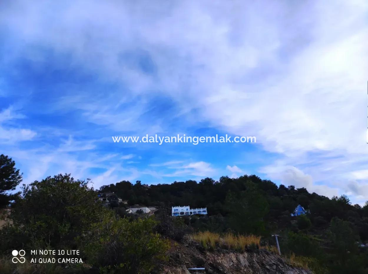 Palace In The Mountains