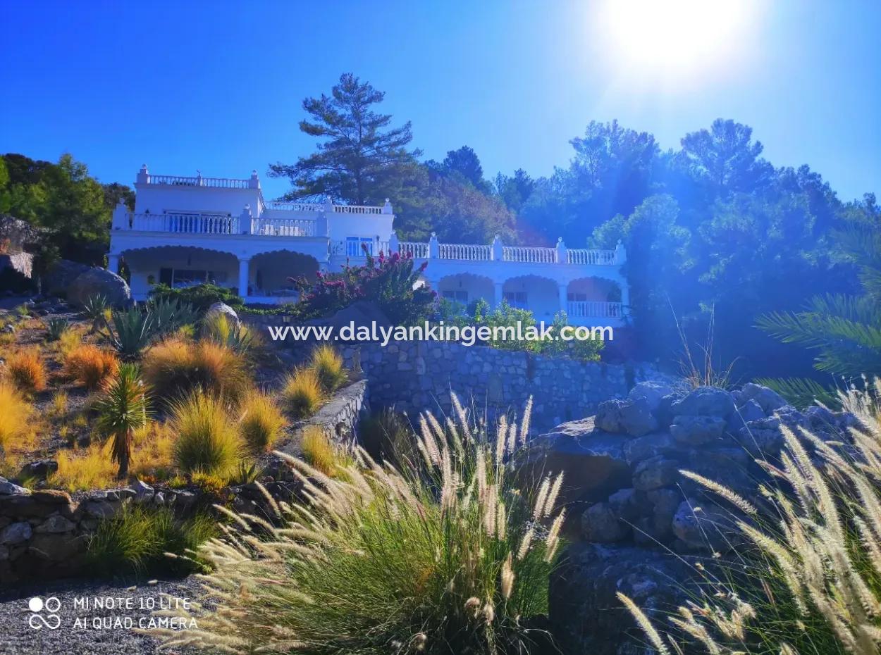 Palace In The Mountains