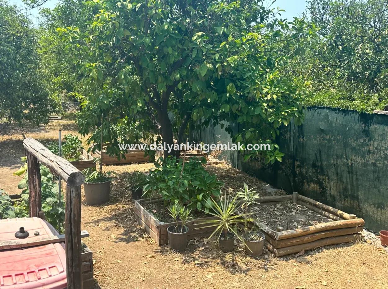 Charming 3-Bedroom Traditional Turkish Home