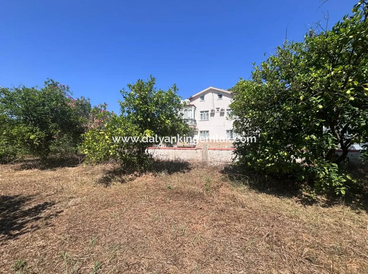 Triplex Villa Surrounded By Nature