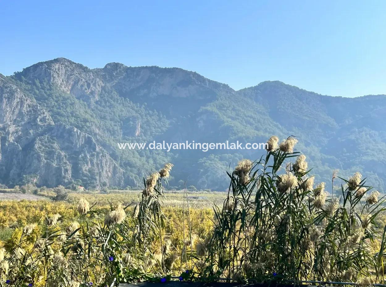 Pomegranate Garden For Sale In Dalyan