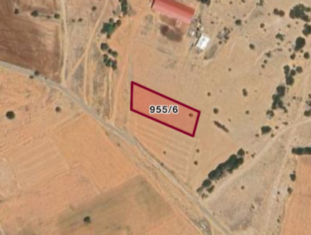 Land For Sale In Denizli