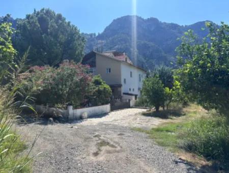 Triplex Villa Surrounded By Nature