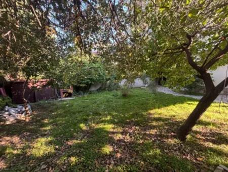 Sweet Garden House In Gulpinar