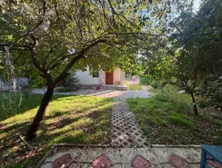 Sweet Garden House In Gulpinar