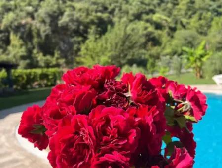 For Sale – Duplex Villa In Dalyan Okçular