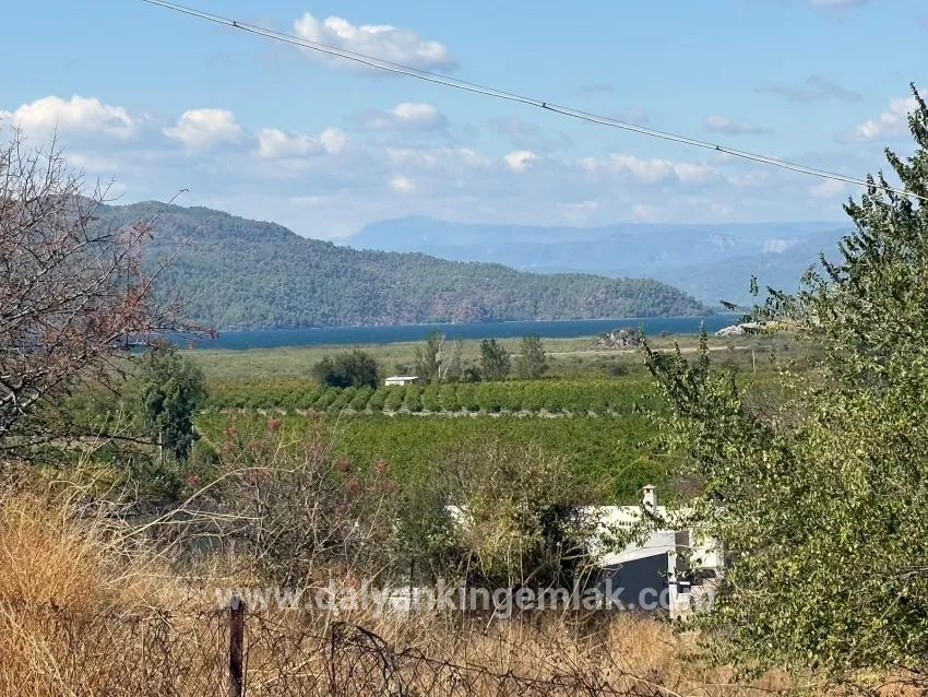 Для продажи Поле в Dalyan Ortaca - Под Поле застройку - 5.000 m²
