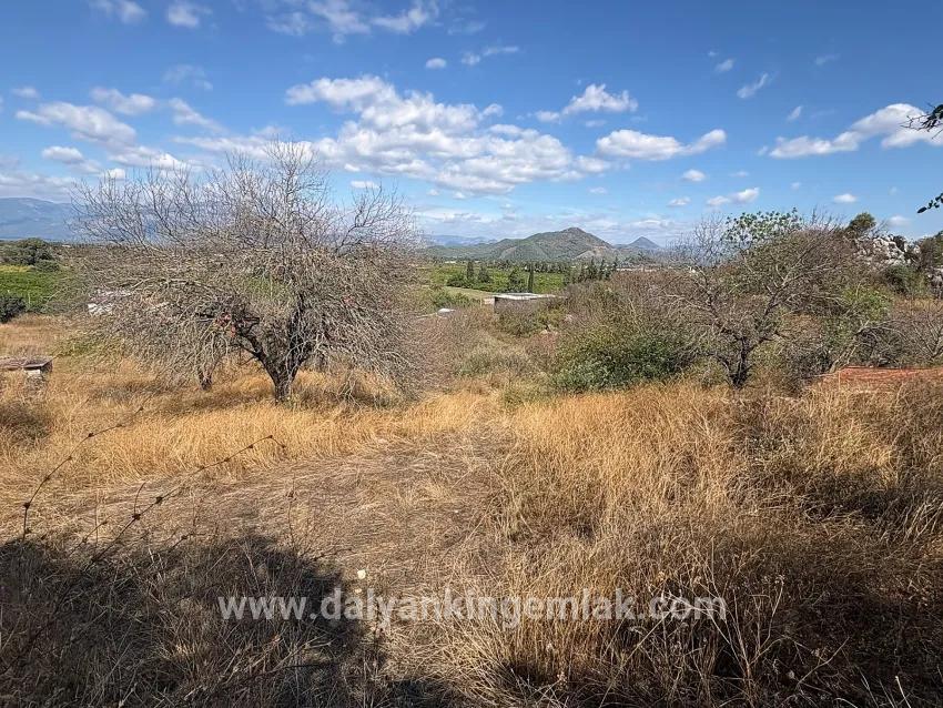 Для продажи Поле в Dalyan Ortaca - Под Поле застройку - 5.000 m²