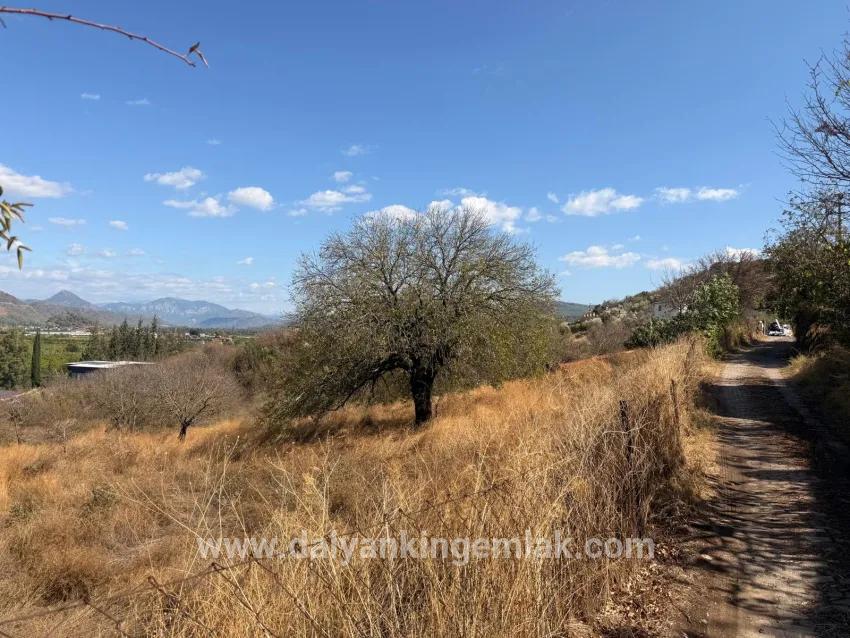 Для продажи Поле в Dalyan Ortaca - Под Поле застройку - 5.000 m²