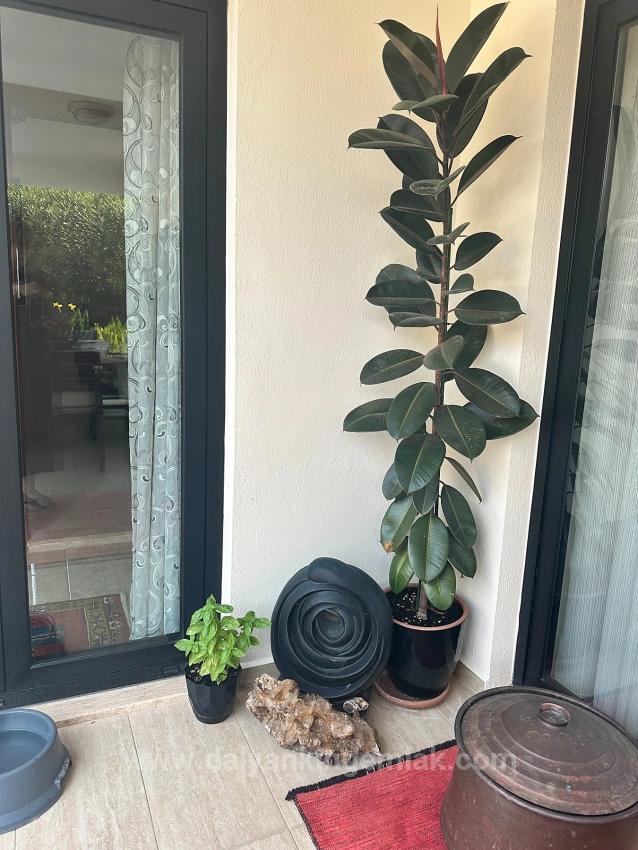 Скрытая Жемчужина В Районе Мараш В Дальяне