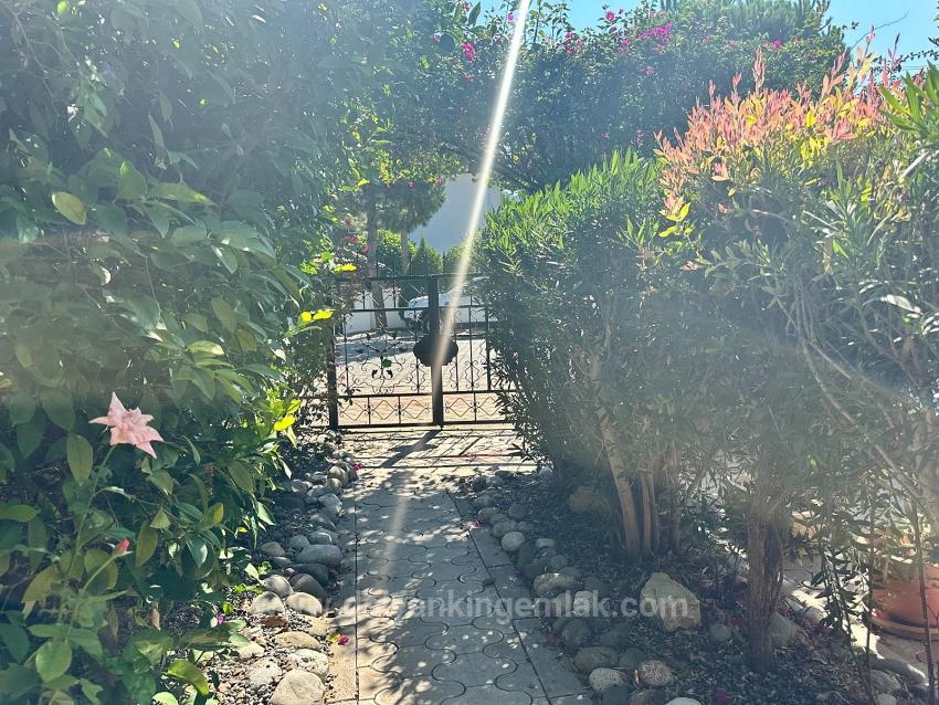 Двухквартирный Дом С Общим Бассейном В Районе Далян-Османагалар